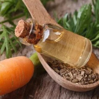 Carrot Seed Oil