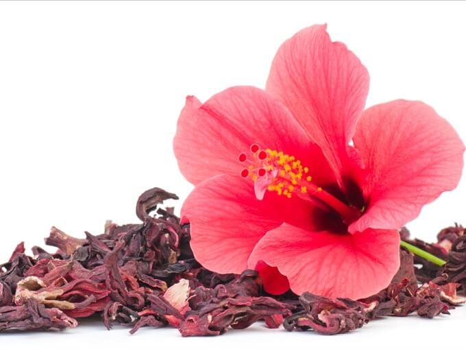 Hibiscus Extract