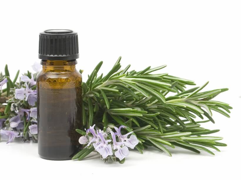 Rosemary EO