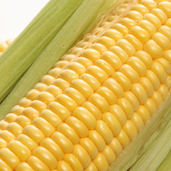 Corn