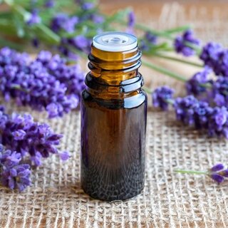Lavender Oil