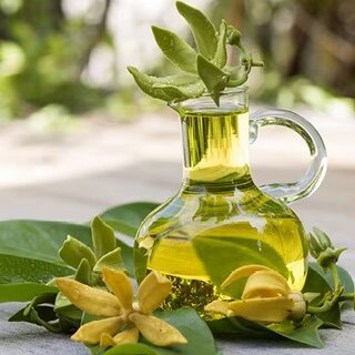 Ylang-Ylang Oil