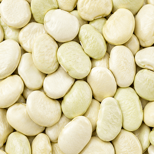 Lima Beans