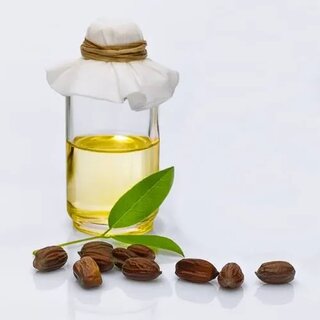 Simmondsia Chinensis Seed Oil