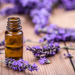 Lavender Oil