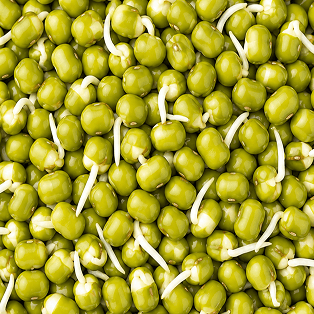 Sprouted Green Gram
