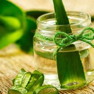 Aloe vera