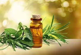 Tea Tree Extract