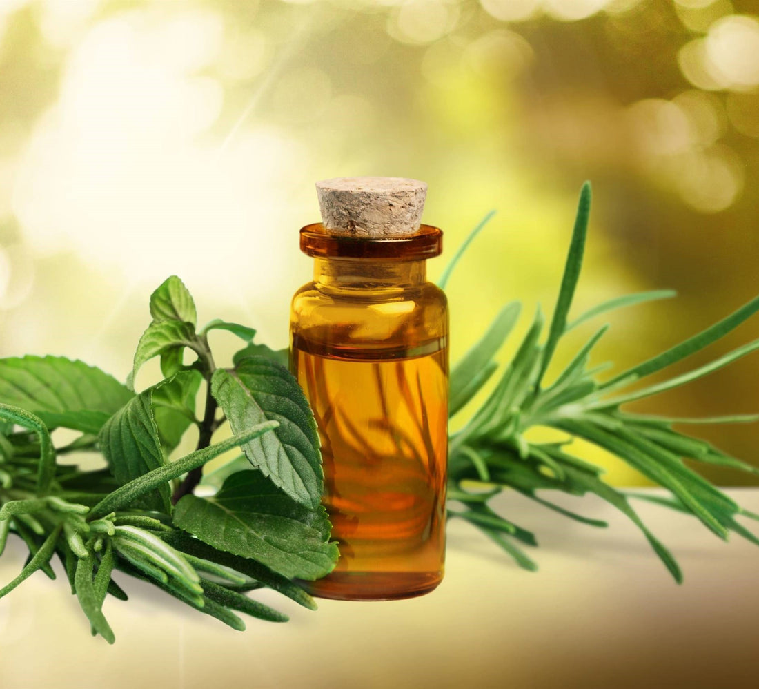 Tea Tree Essential Oil