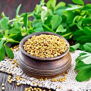 Fenugreek Extract