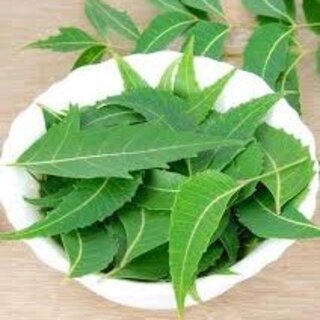 Neem oil