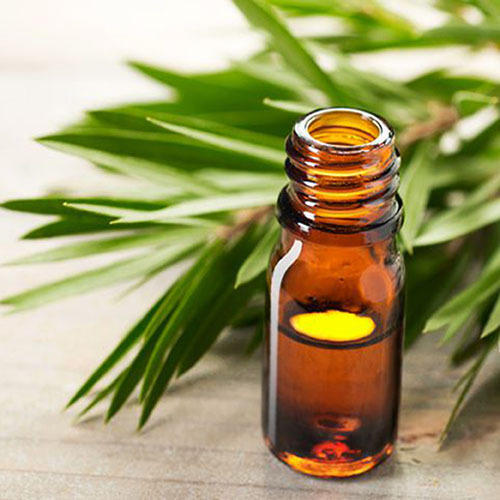 Tea Tree Extract