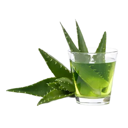 Aloe vera