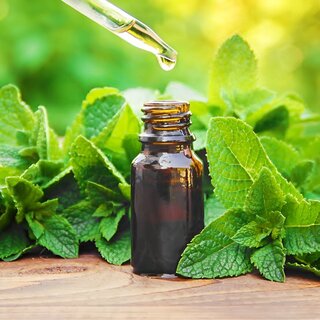 Peppermint Essential Oil