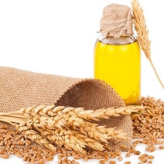 Wheat Germ Oil