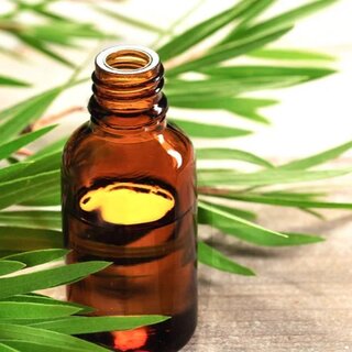 Tea Tree Oil