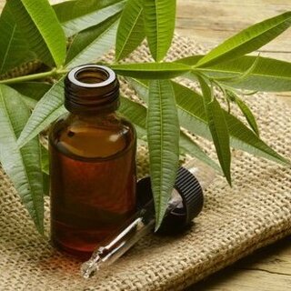 Tea Tree oil
