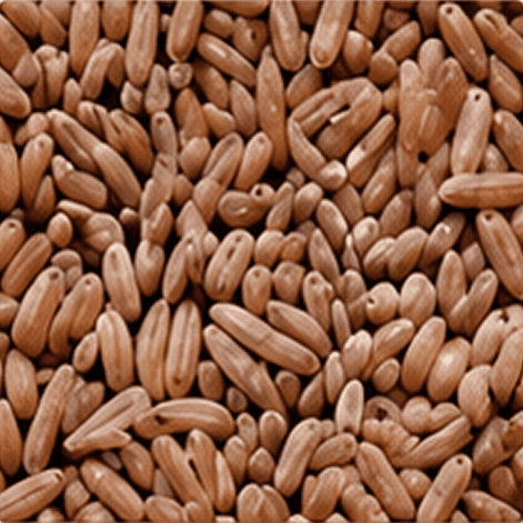 Bamboo rice