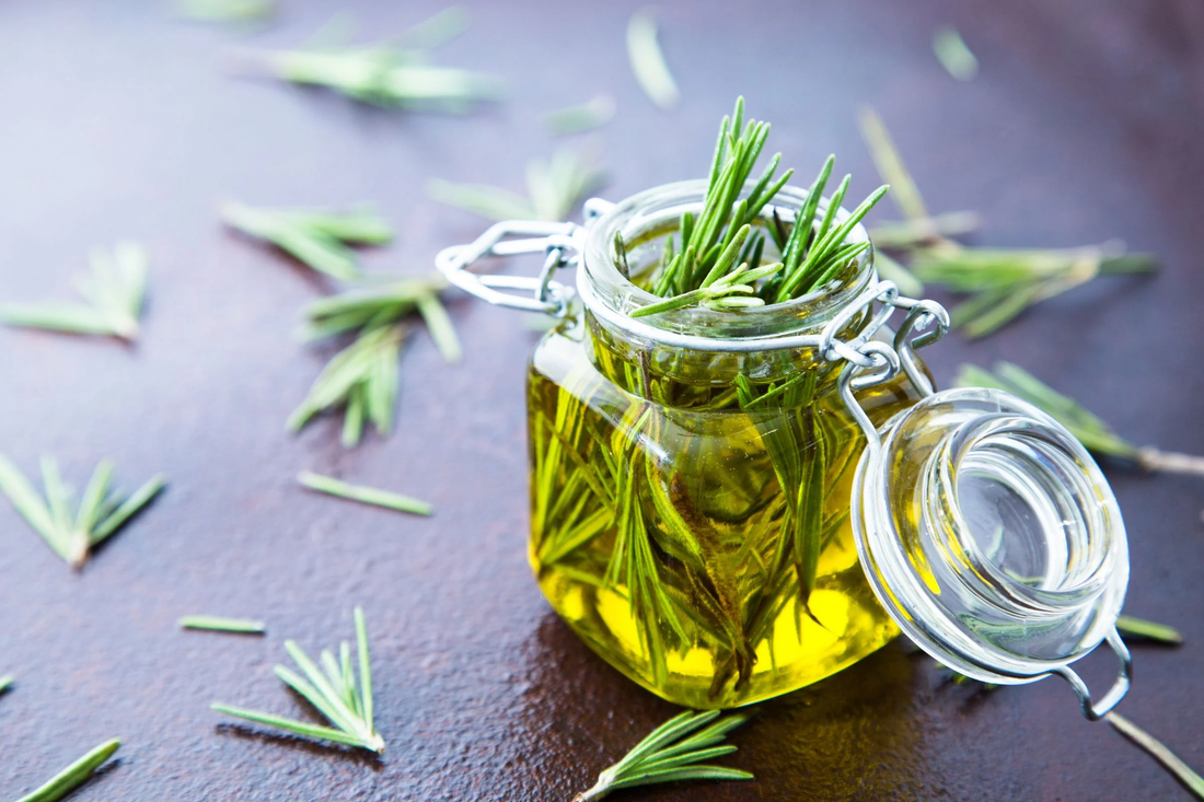 Rosemary Essential Oil