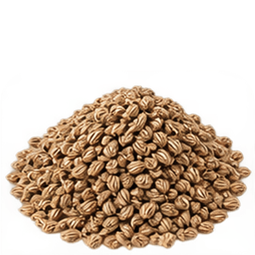 Ajwain Fr. (Carom Seed Oil)