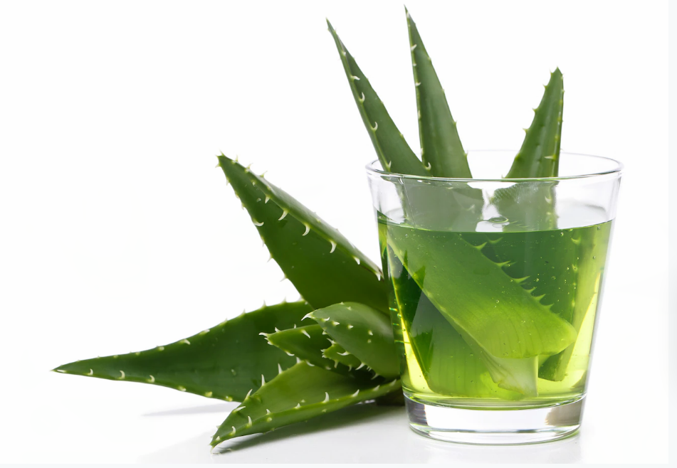 Aloe Extract