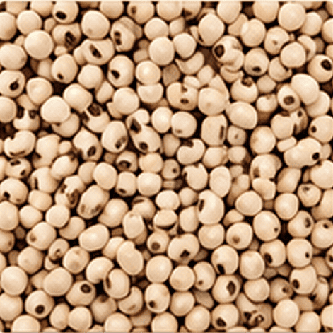 Cow Peas
