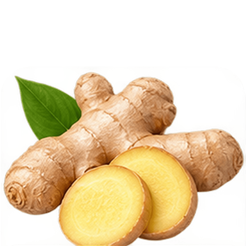 Sunthi Rh. (Ginger Extract)
