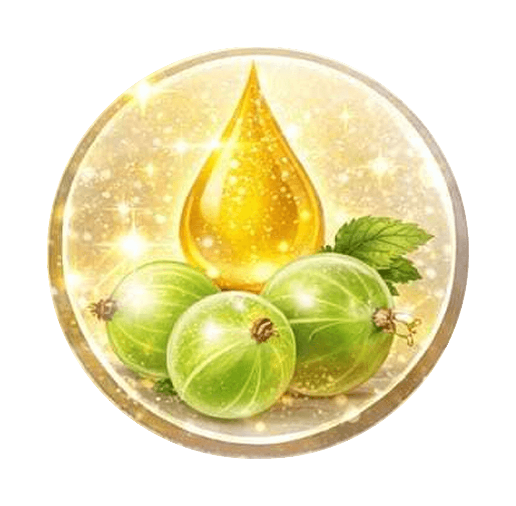 Gooseberry Extract