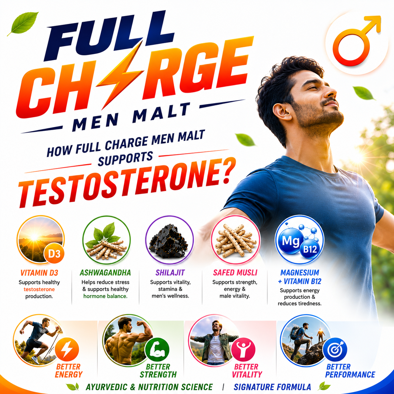 Full Charge Stamina Men Malt