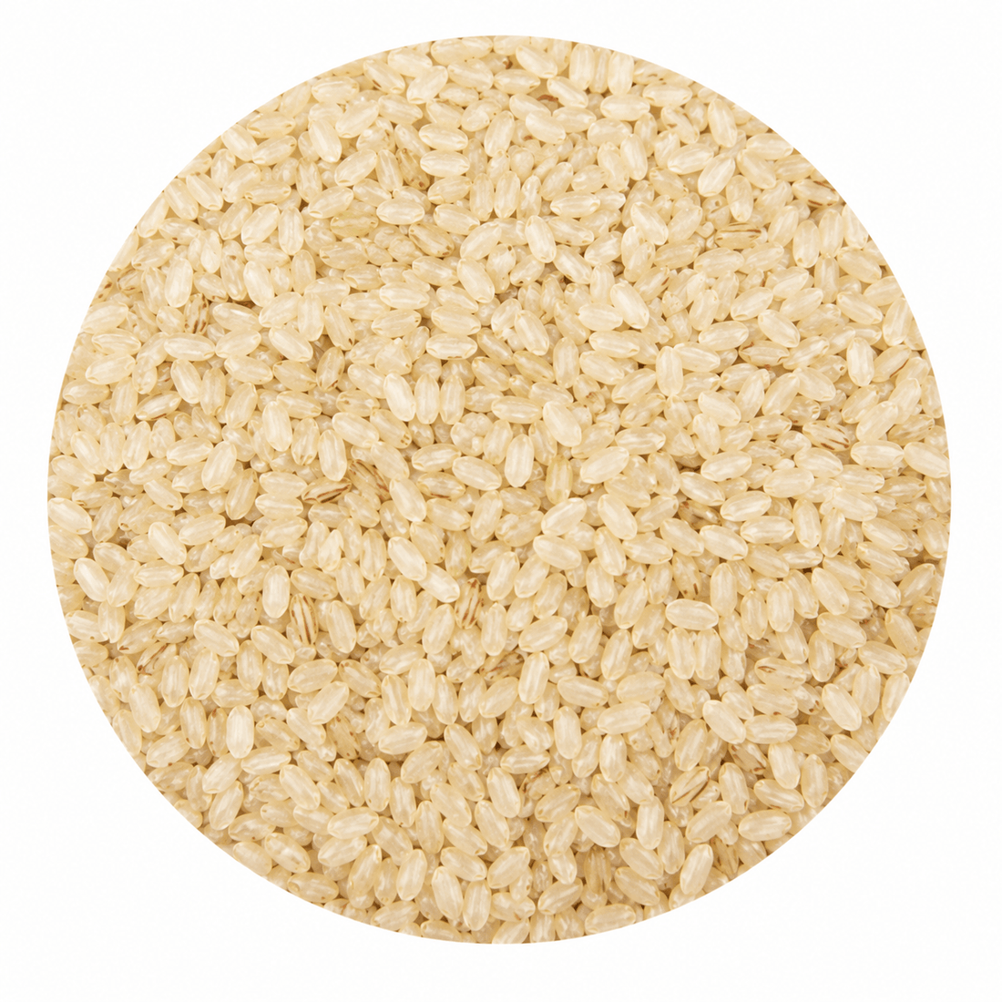 Kaadaikanni Rice