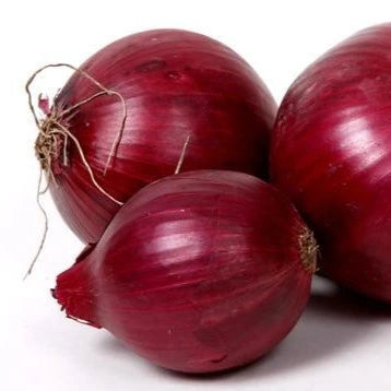 Onion