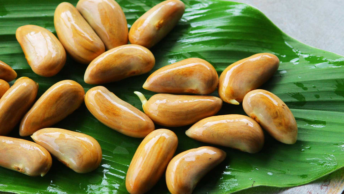Jack fruit seeds