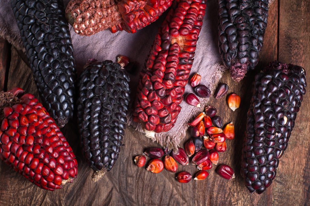 Red corn