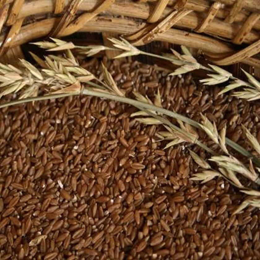Bamboo rice