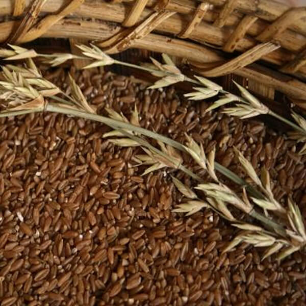 Bamboo Rice