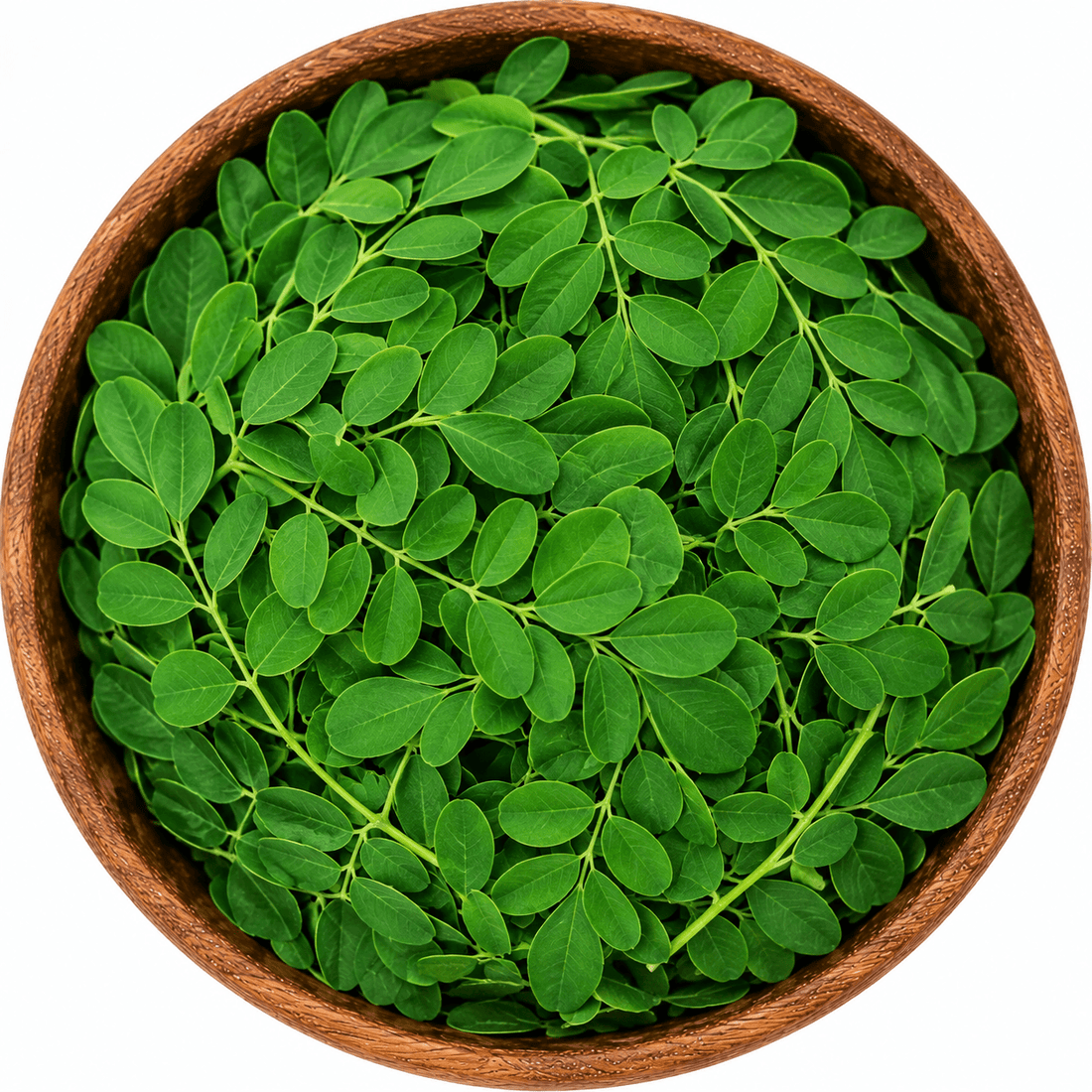 Moringa Leaves