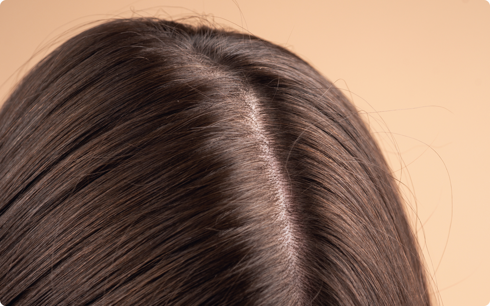 Lakshmi Krishna Naturals