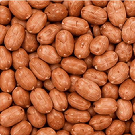 Peanuts