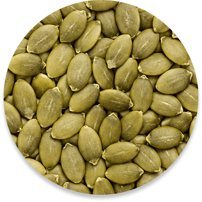 Pumpkin Seeds