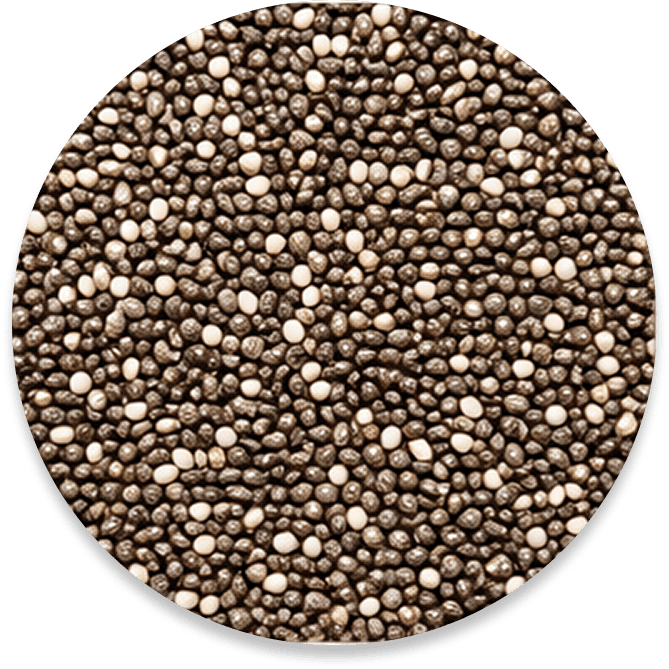 Chia Seeds