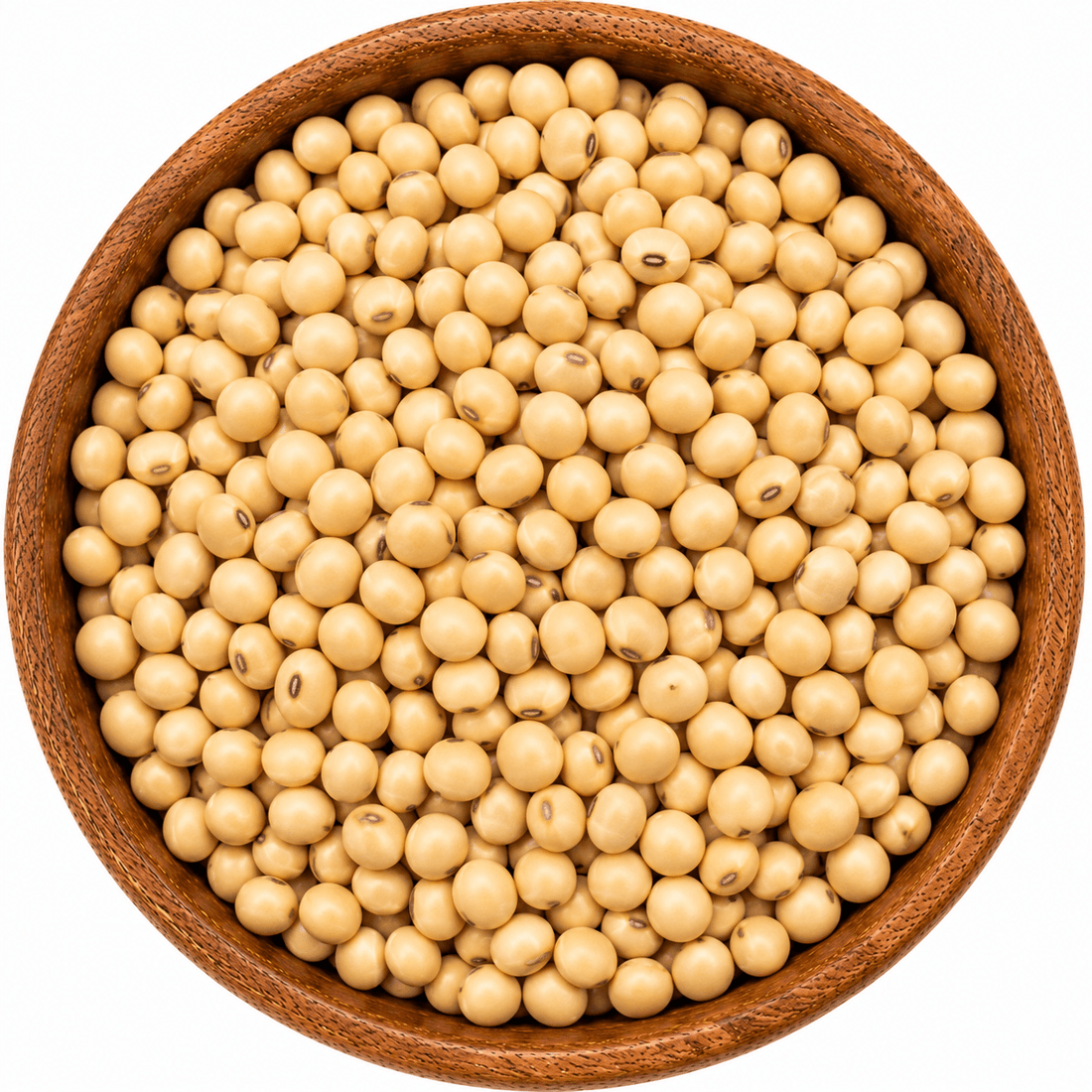 Soya