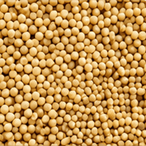 Sprouted little millet