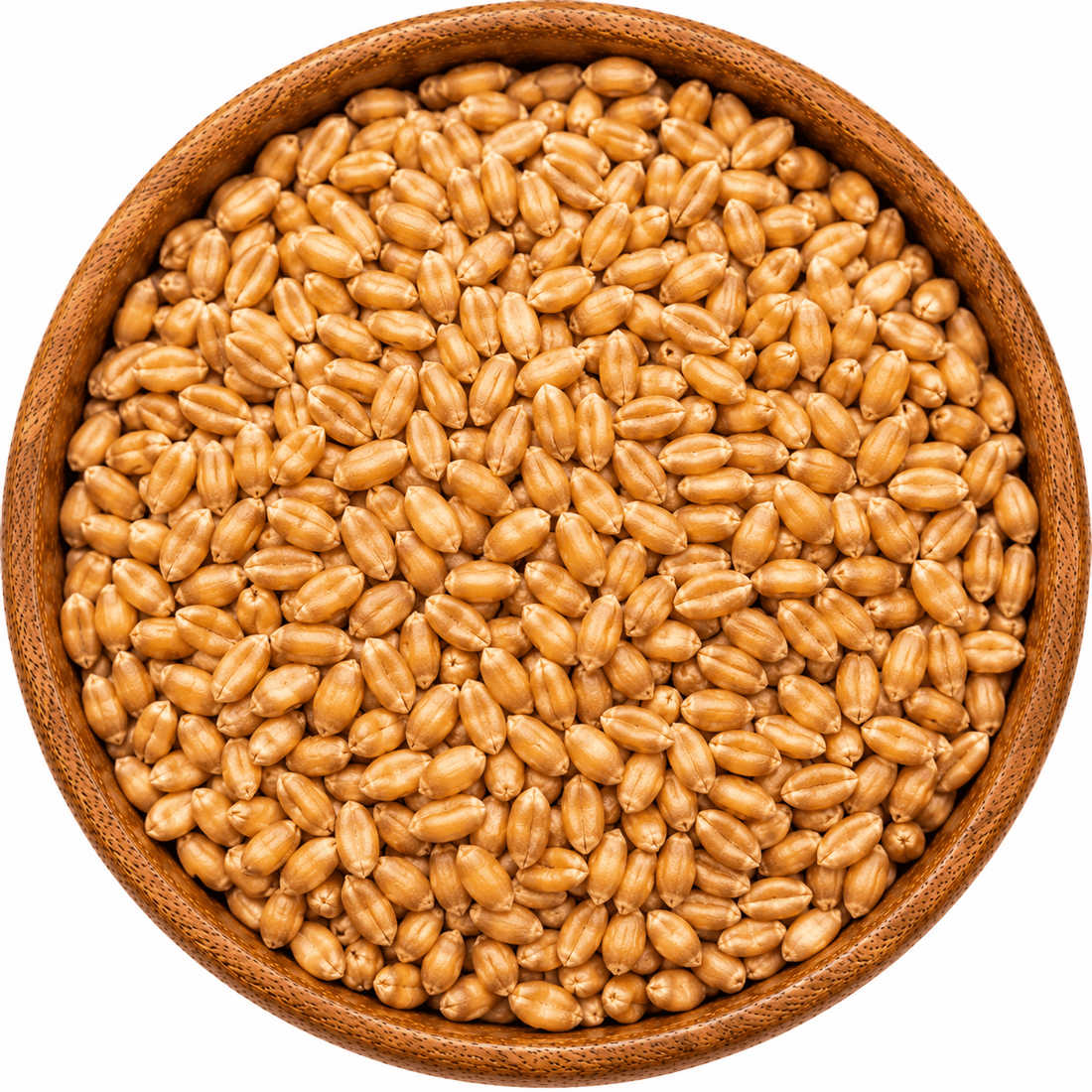 Wheat Extract