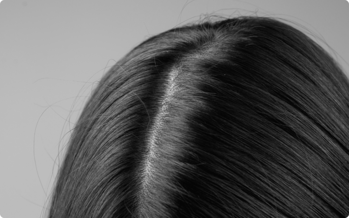 Lakshmi Krishna Naturals